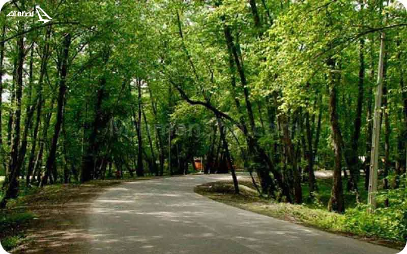 پارک جنگلی پاشوران؛ بهشتی سبز در ورودی سیاهکل